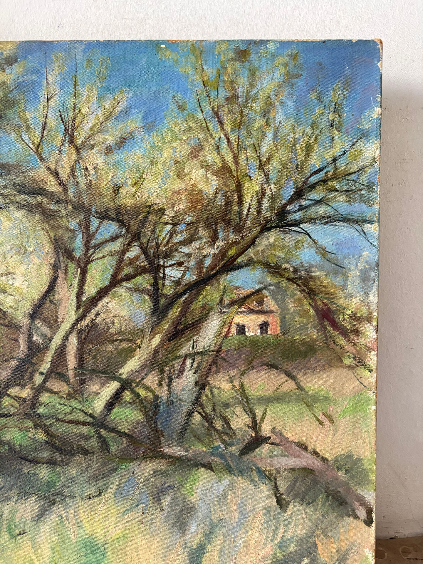 Paysage de forêt, huile sur toile signée Taquoy