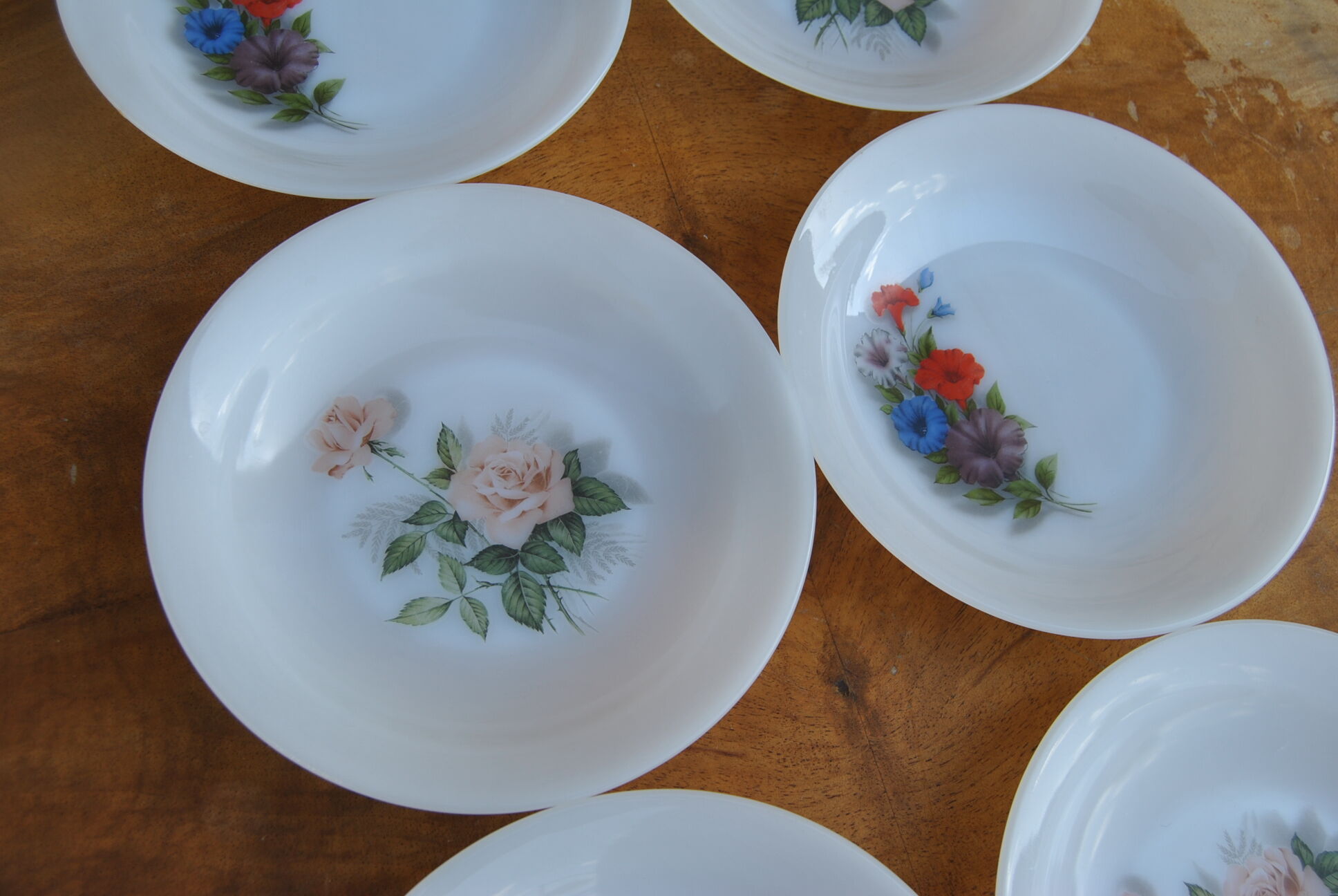 Set of 6 plates in arcopal 70