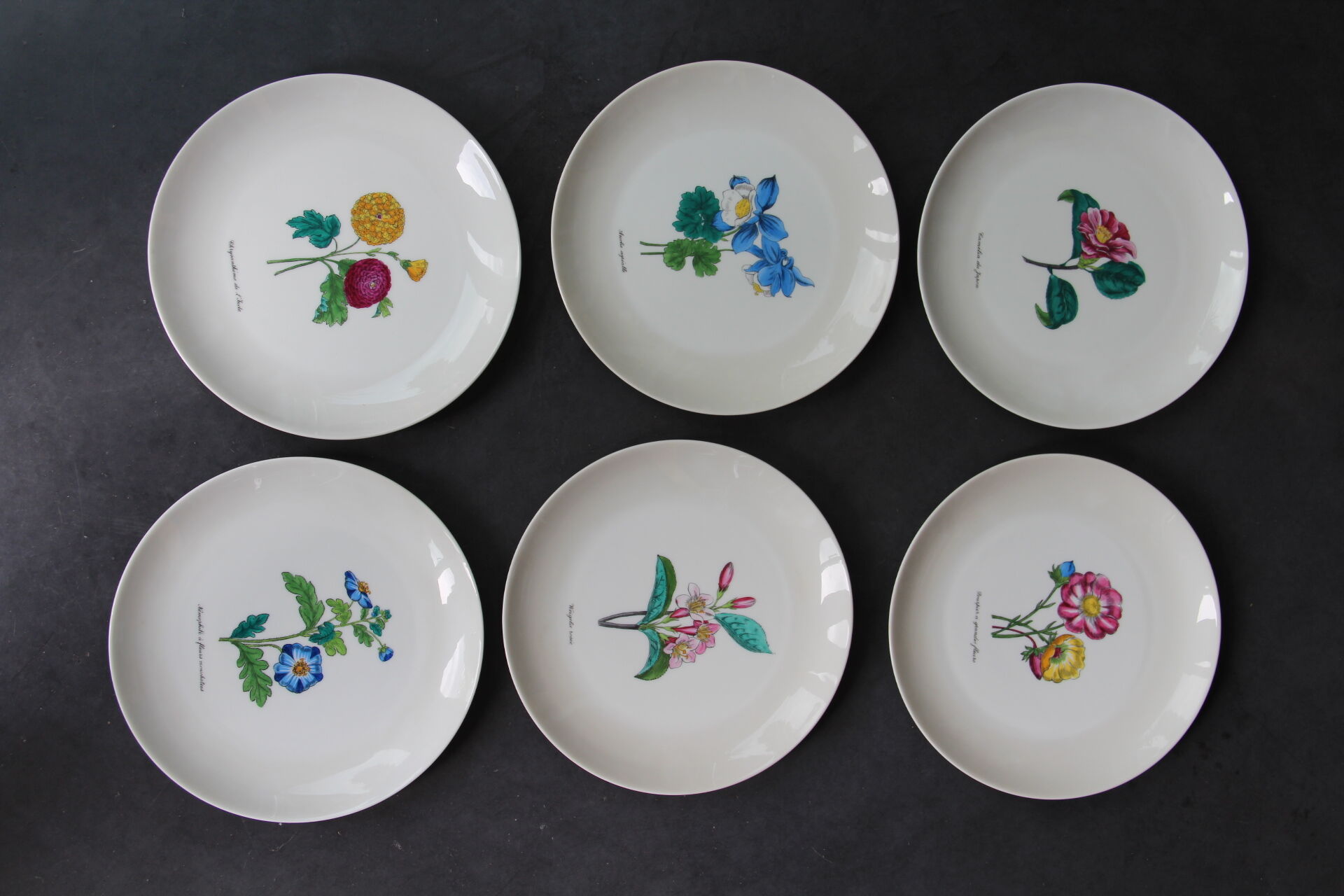 6 NBD Limoges dessert plates illuminated by hand