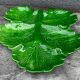 Green Ceramic Hors d'Oeuvres Dish in Leaf Shape, Art Deco Period