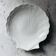 Porcelain shell plate