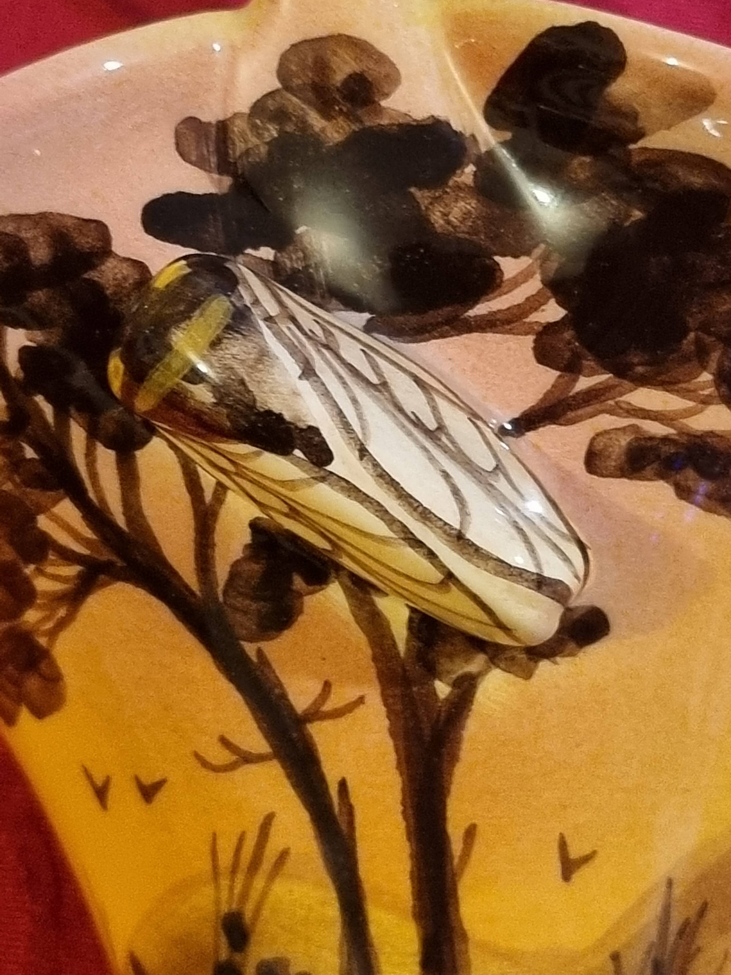 coupe corbeille en céramique modèle provençal avec cigale