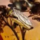 coupe corbeille en céramique modèle provençal avec cigale