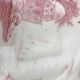 6 vintage pink Shabby dessert plates seen from the east