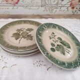 Set of 6 dessert plates in old green earthenware late 18th century frugal décor