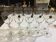 Royal Crystal Rock (Rcr): 10 glasses, 5 large and 5 smaller