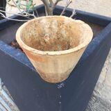 Gem pot