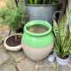 Pot en grès émaillé beige et vert arsenic
