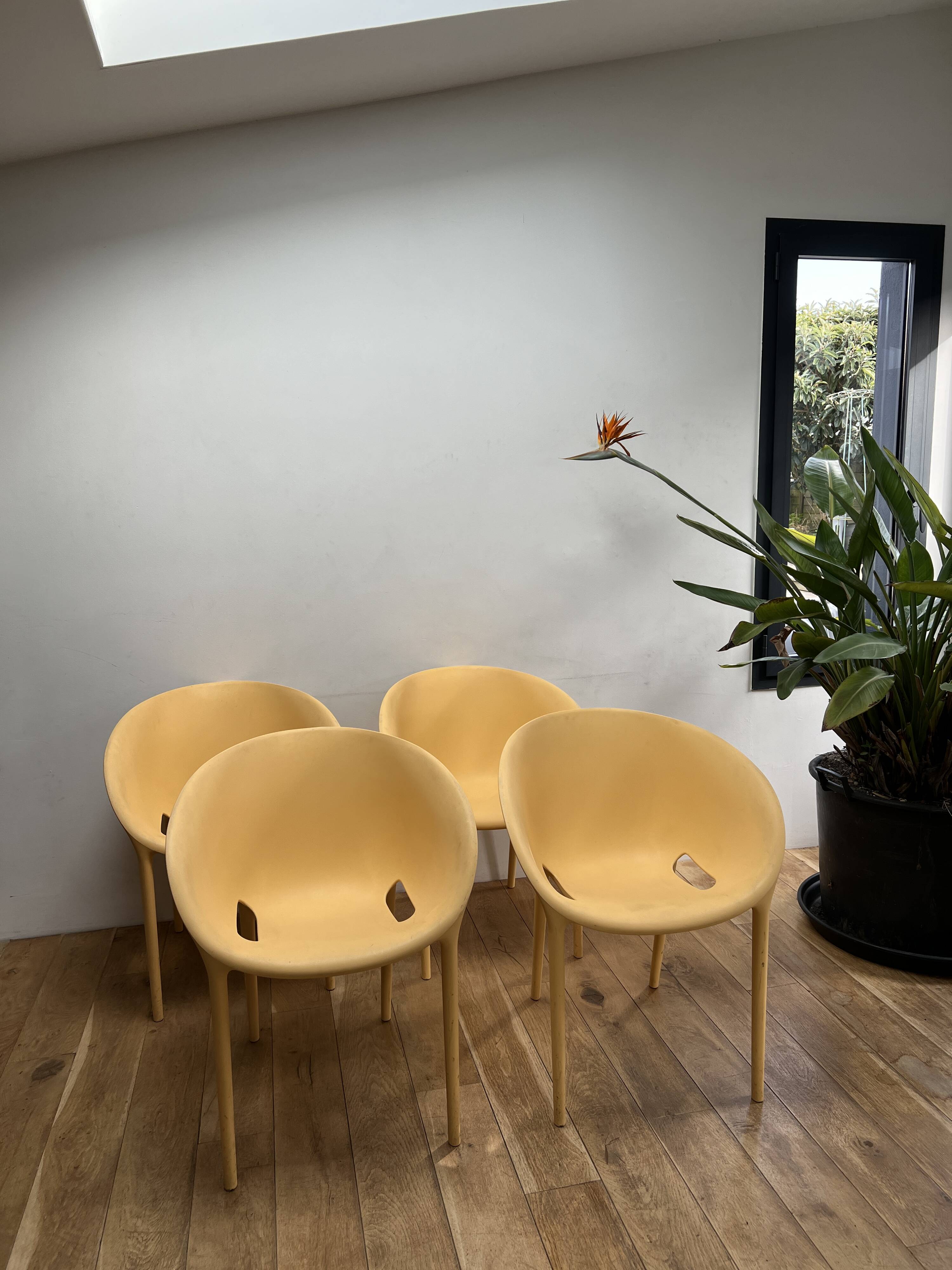 Series of 4 Soft Egg armchairs by Starck for Driade, Italy