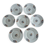 7 assiettes plates Terre de fer