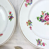 4 small plates iron earth salins model "anny" floral pattern