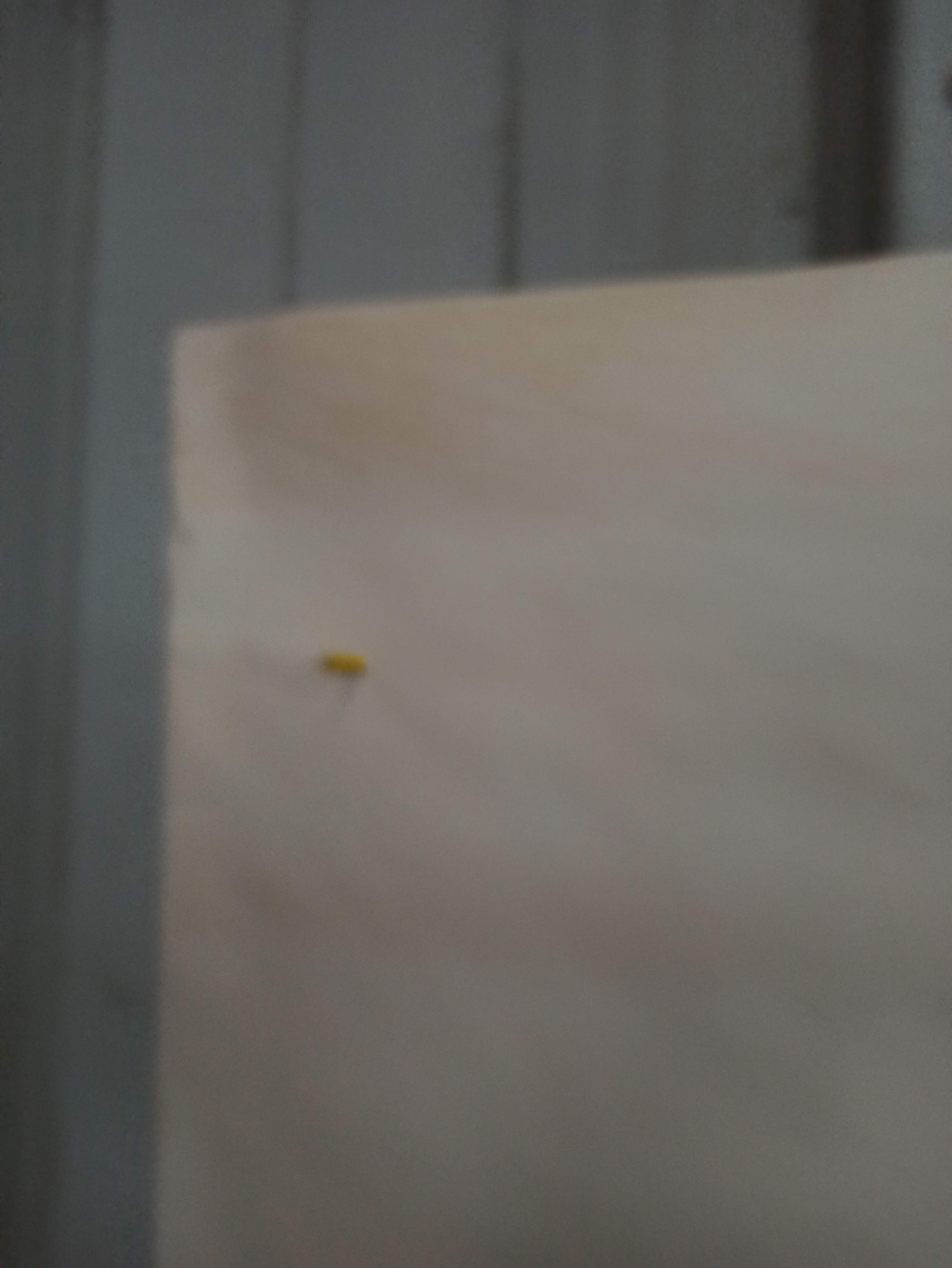 Large circus poster Pinder 156 cm clown Jean Richard