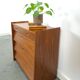 Fineer schoenenkast met lades