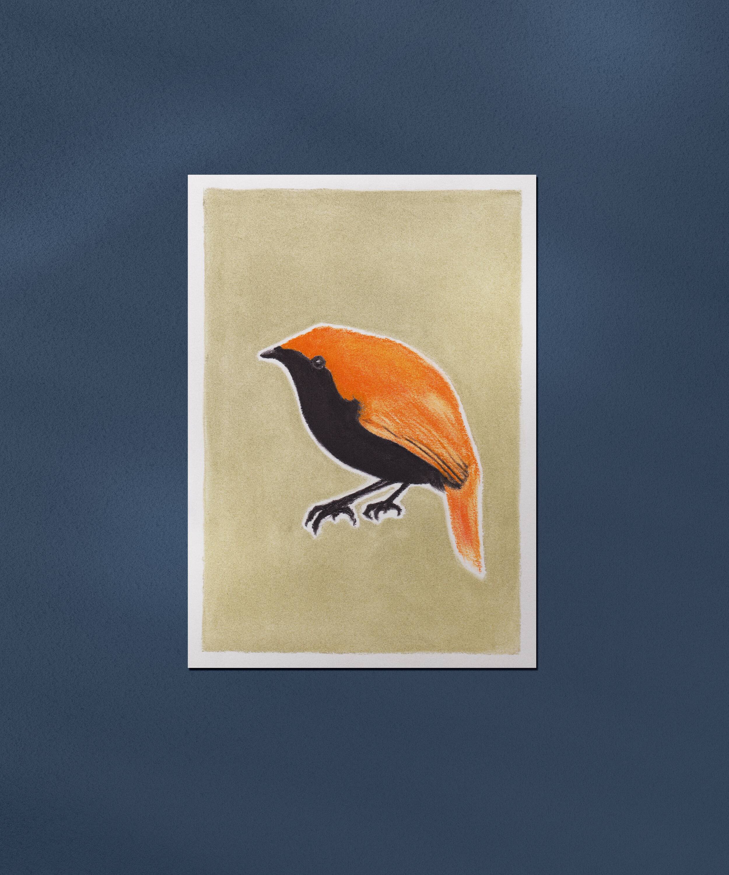 Oiseau "Gregori" - Dessin original
