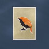 Bird "Gregori" - Original drawing