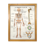 School map and wooden frame MDI Human body