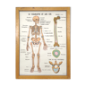 School map and wooden frame MDI Human body