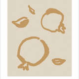 Botanical illustration giclee print, 50x70