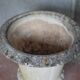 Medicis Grandon Fres planter, plant pot, outdoor pot, p pot