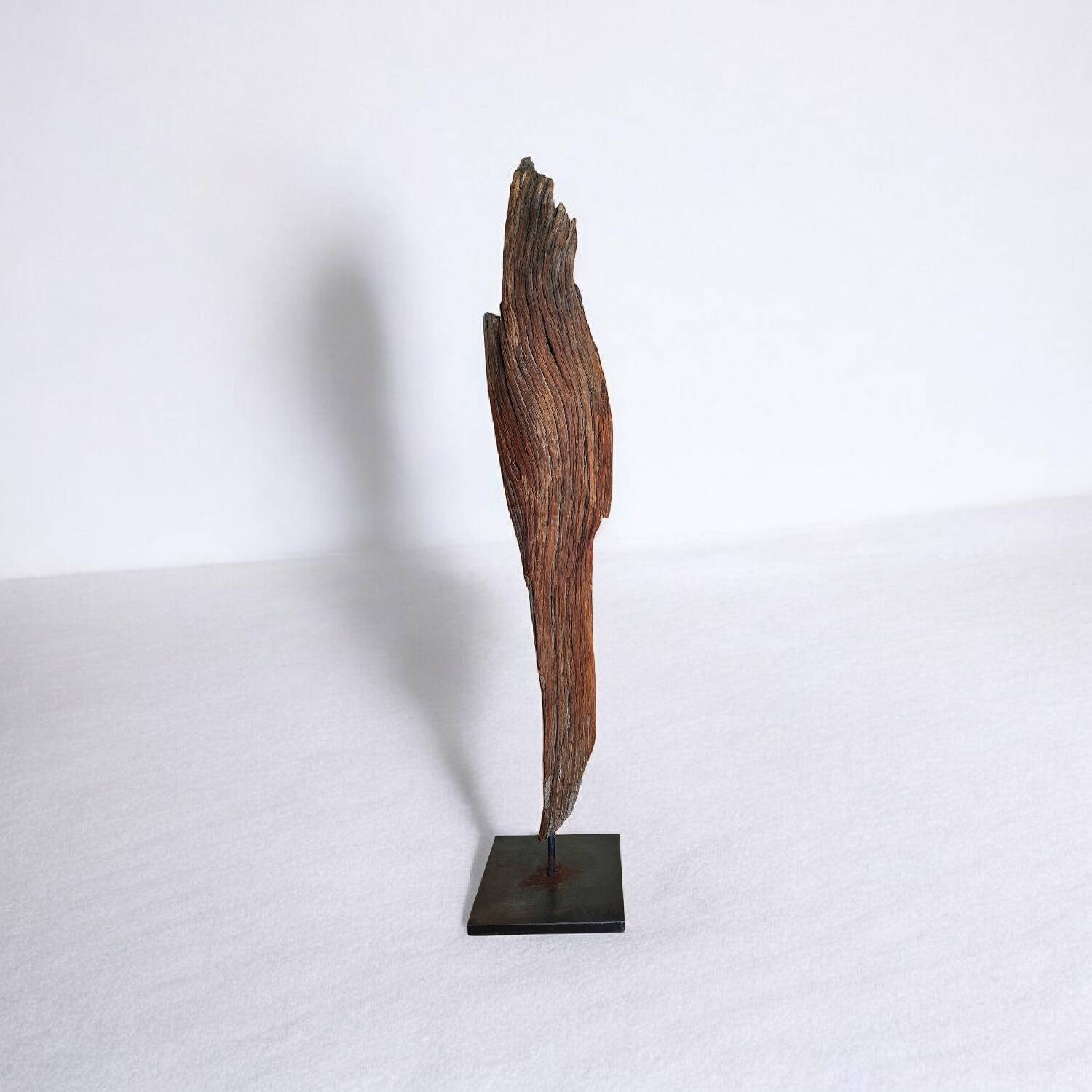 Sculpture "fragment of bark"