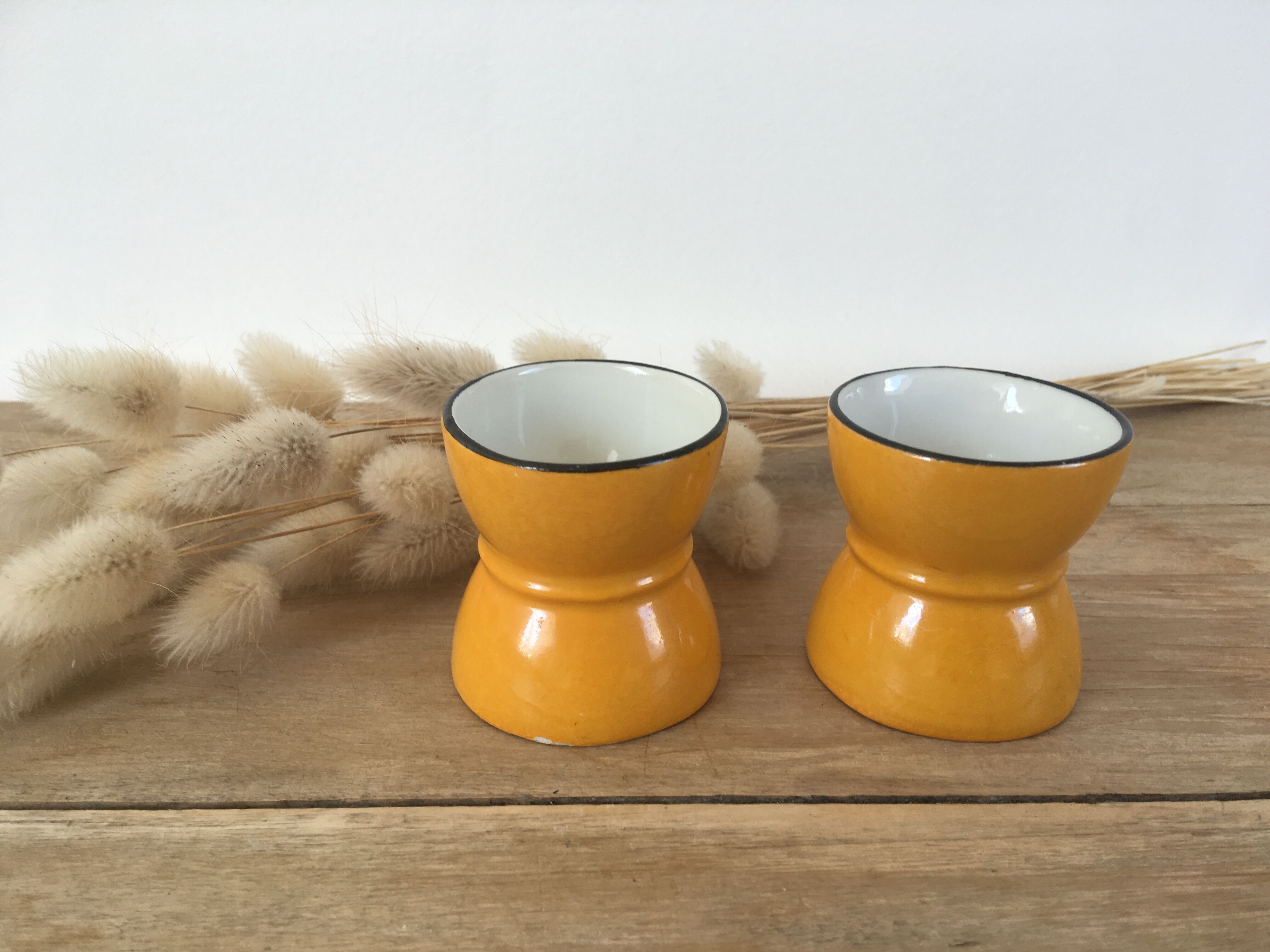 Pair of diabolo cockroaches