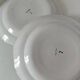 Pair of hand-painted antique plates – antique rose motif