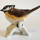 Small bird vintage german porcelain