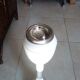 Ashtray on foot tulip, patentatto, Italy 60/70 years