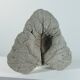 Vintage one  of a kind cast concrete fruit trinket bowl leaf decor
