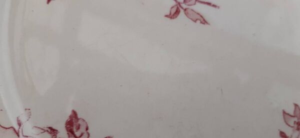 Lot de 2 assiettes Sarreguemines modèle Favori