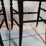 Pair of chairs Napoleon III model Opera