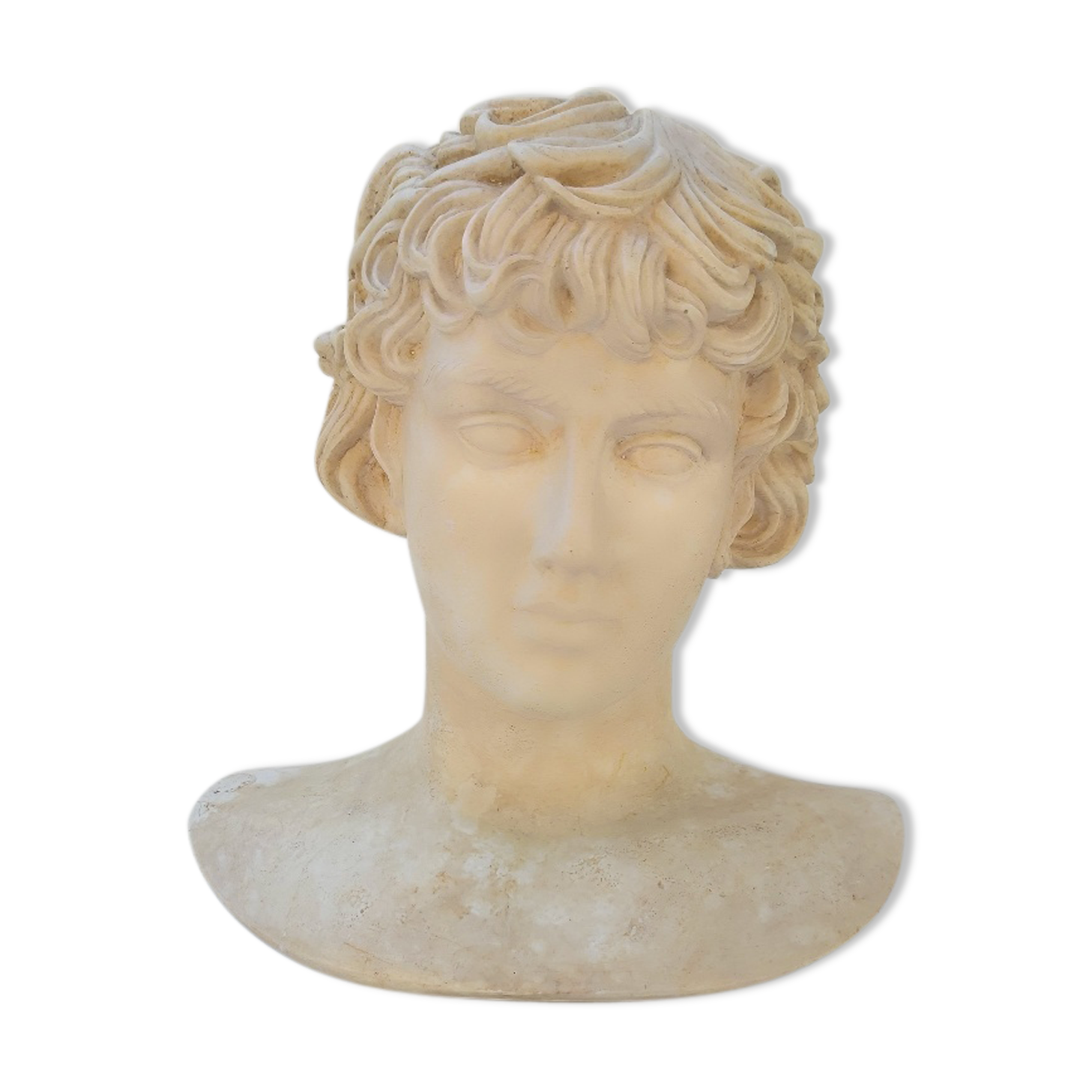 Plaster and marble bust