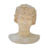 Plaster and marble bust