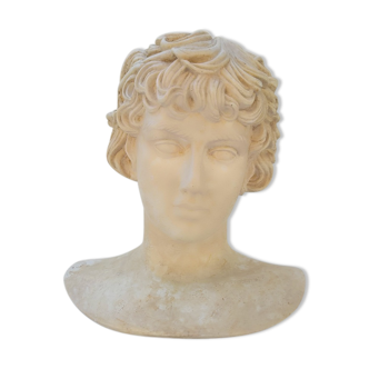 Plaster and marble bust