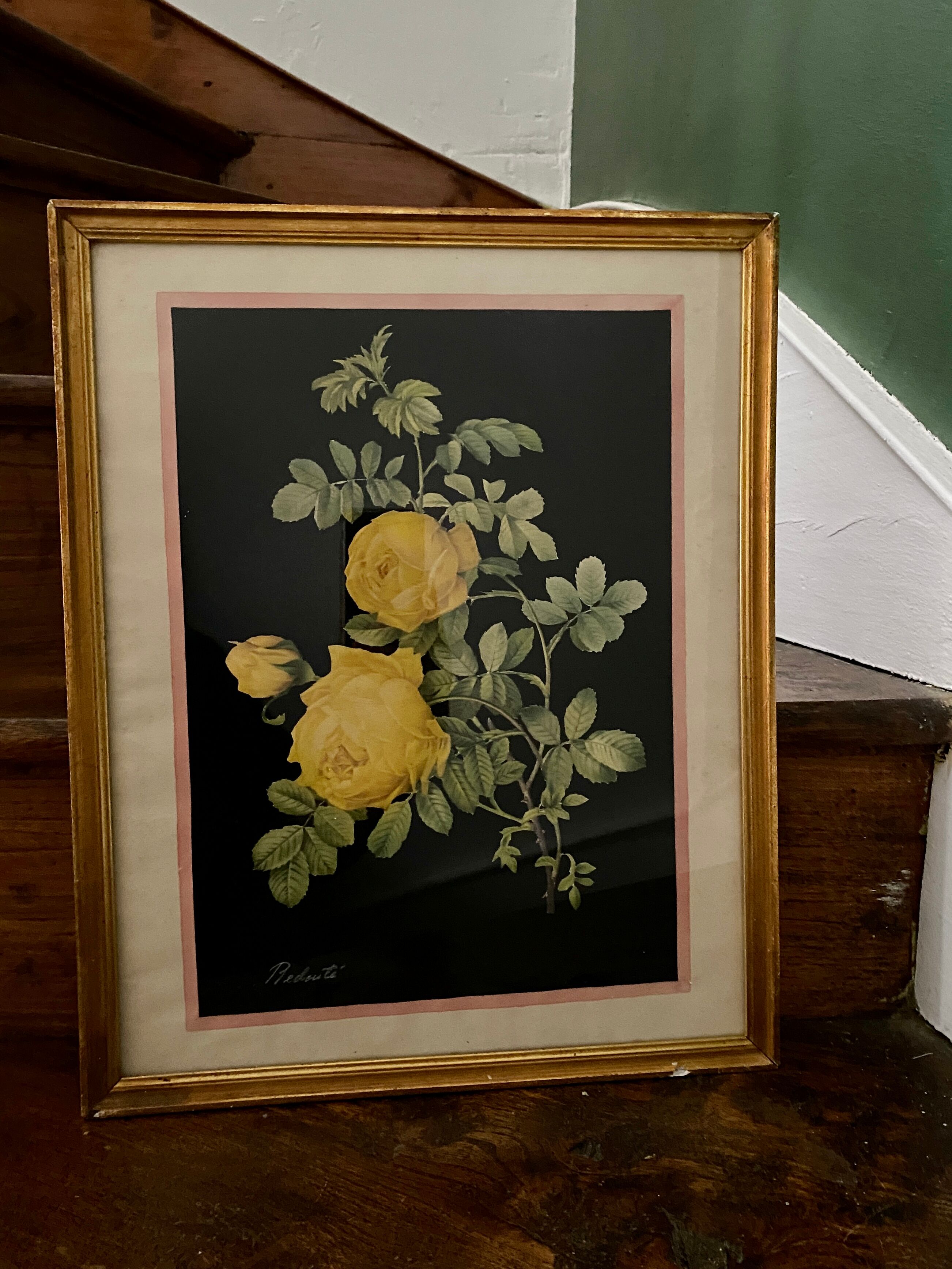 Framed poster vintage pinks yellow feared