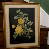 Framed poster vintage pinks yellow feared