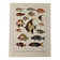 Old illustrated plate on coral reef fish - 1920