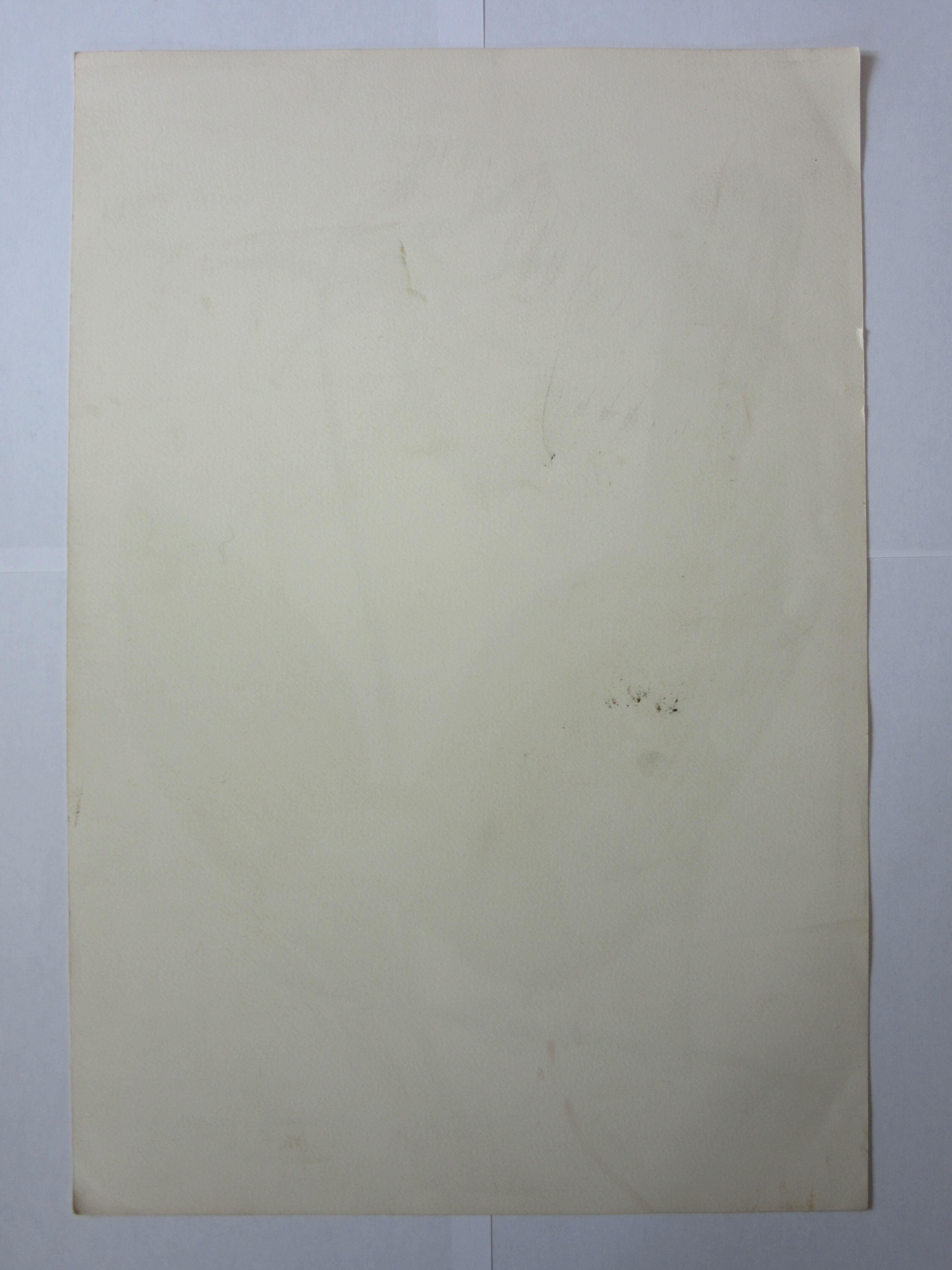 Engraving bird, monedula, repro Catesby/Seligmann