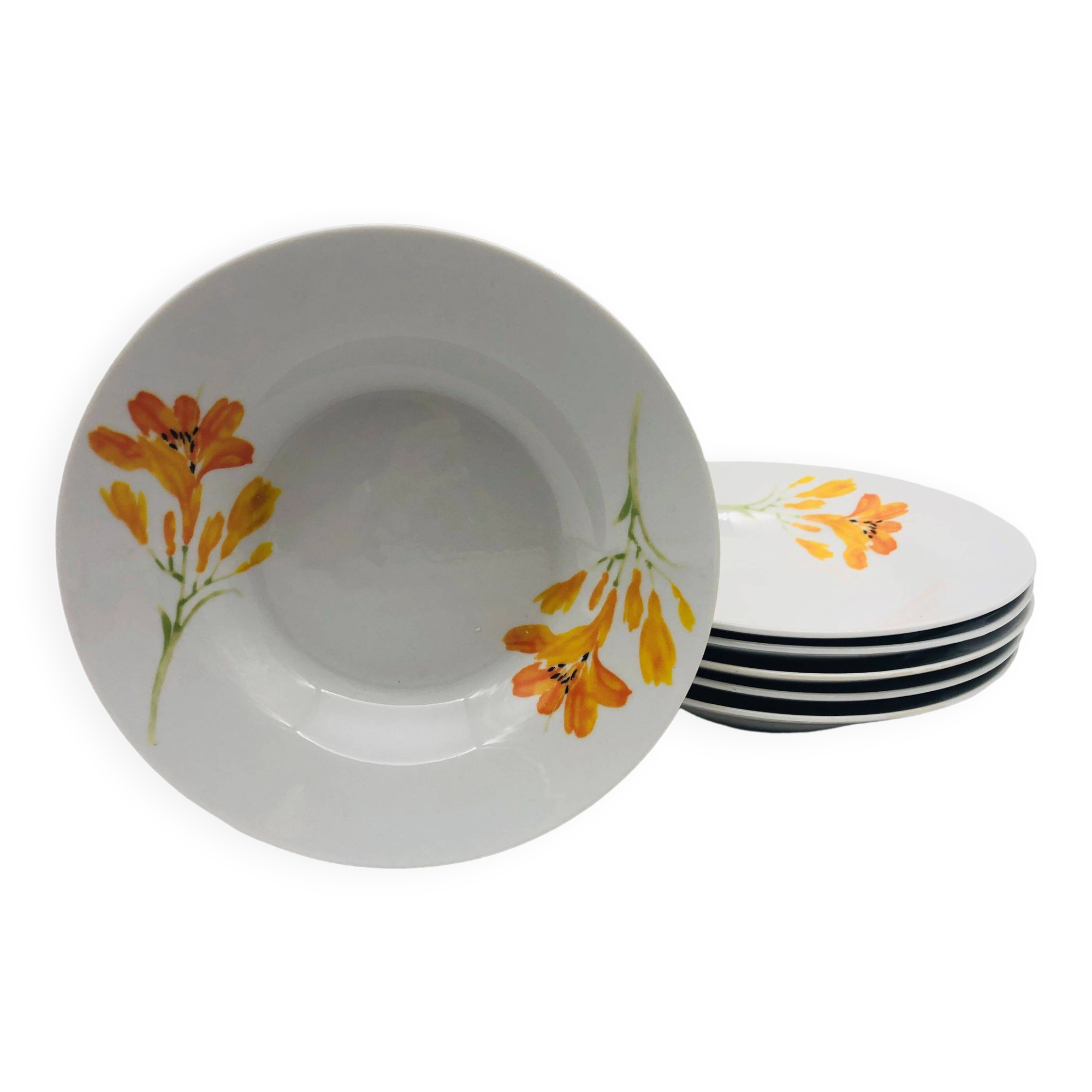 6 porcelain deep plates “chriss g. collection”