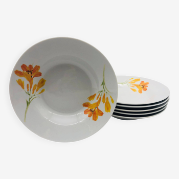 6 porcelain deep plates “chriss g. collection”