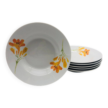 6 porcelain deep plates “chriss g. collection”