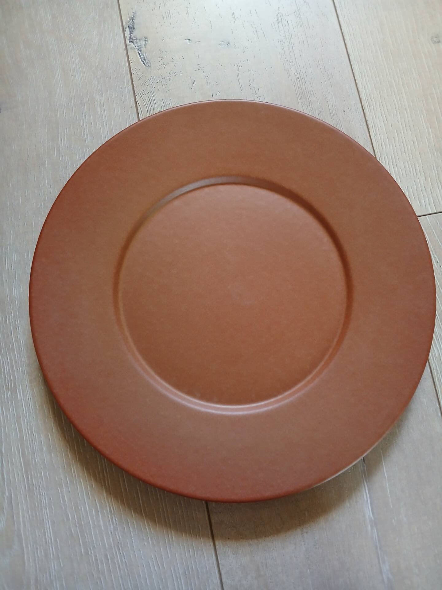 12 large flat plates Molin / Charolles