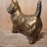 Chien scottish laiton