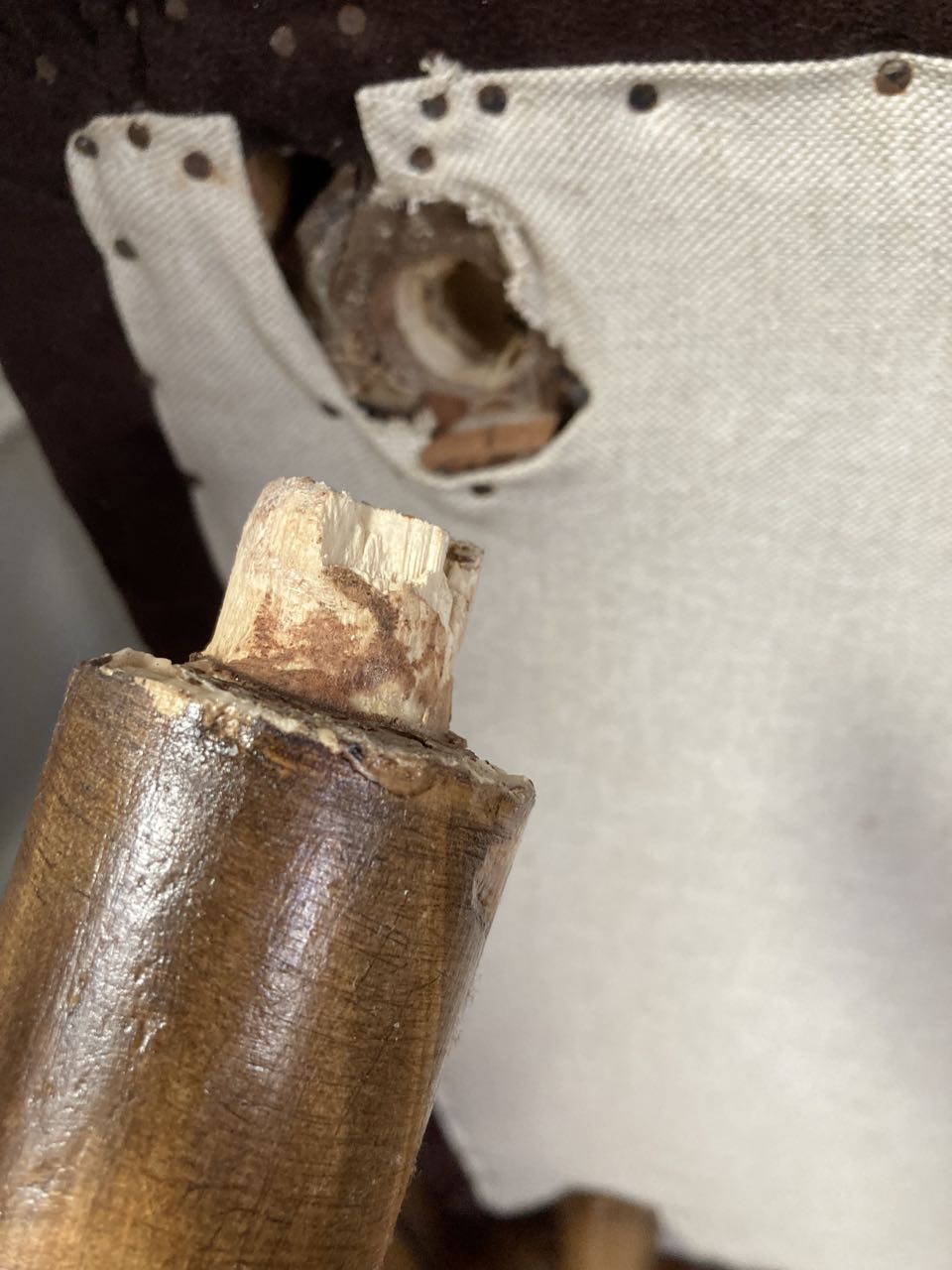 Pair of cocktail chairs