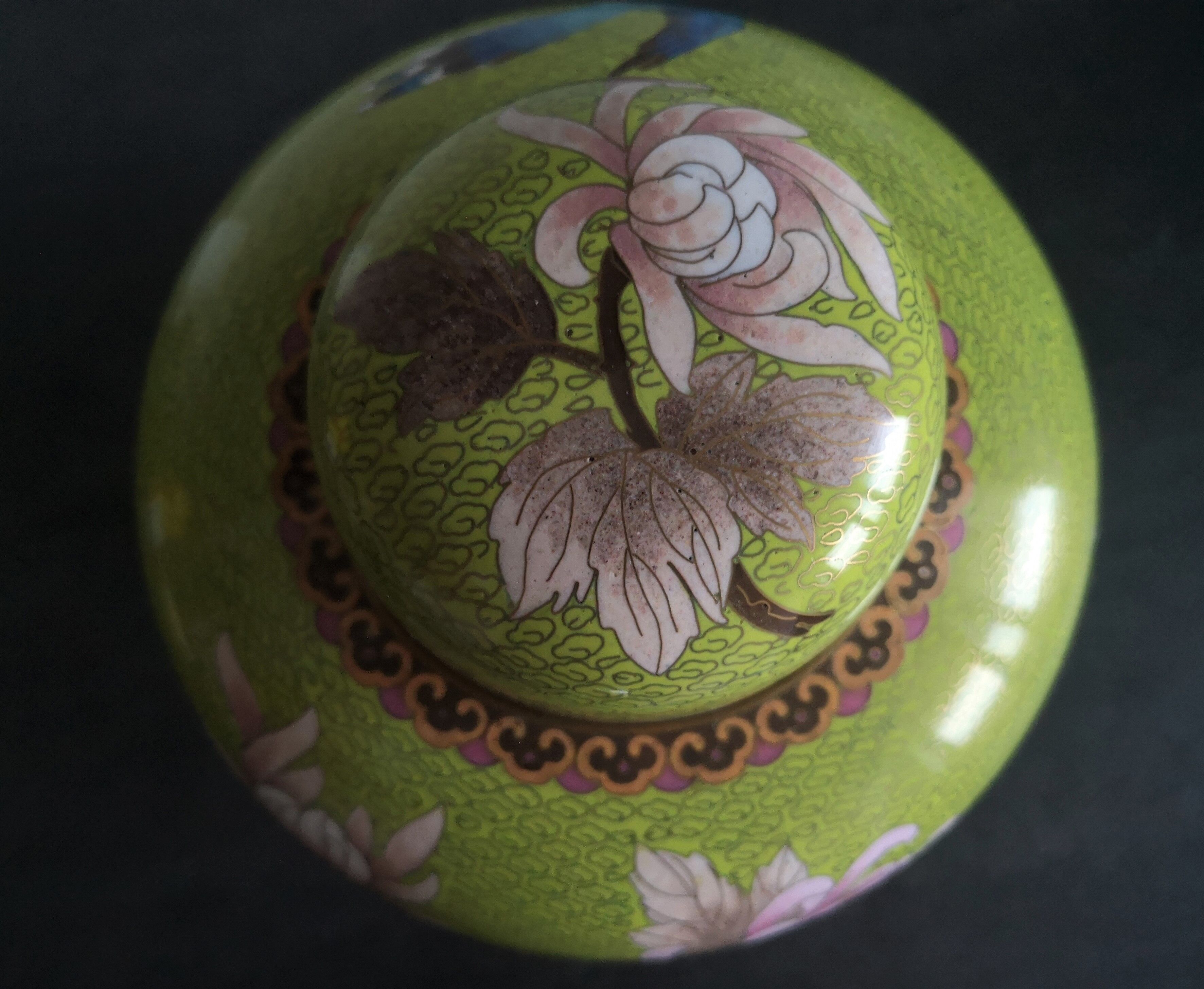 Paire de pots à gingembre en émail cloisonné début 20ème siècle