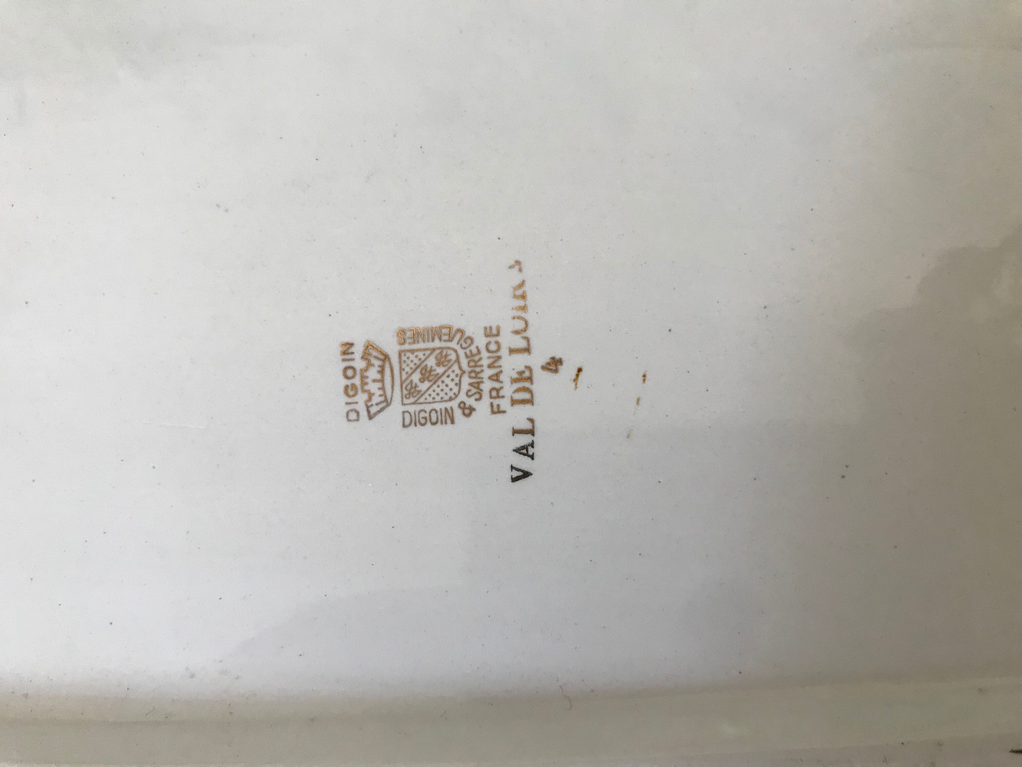 Digoin & Sarreguemines dish