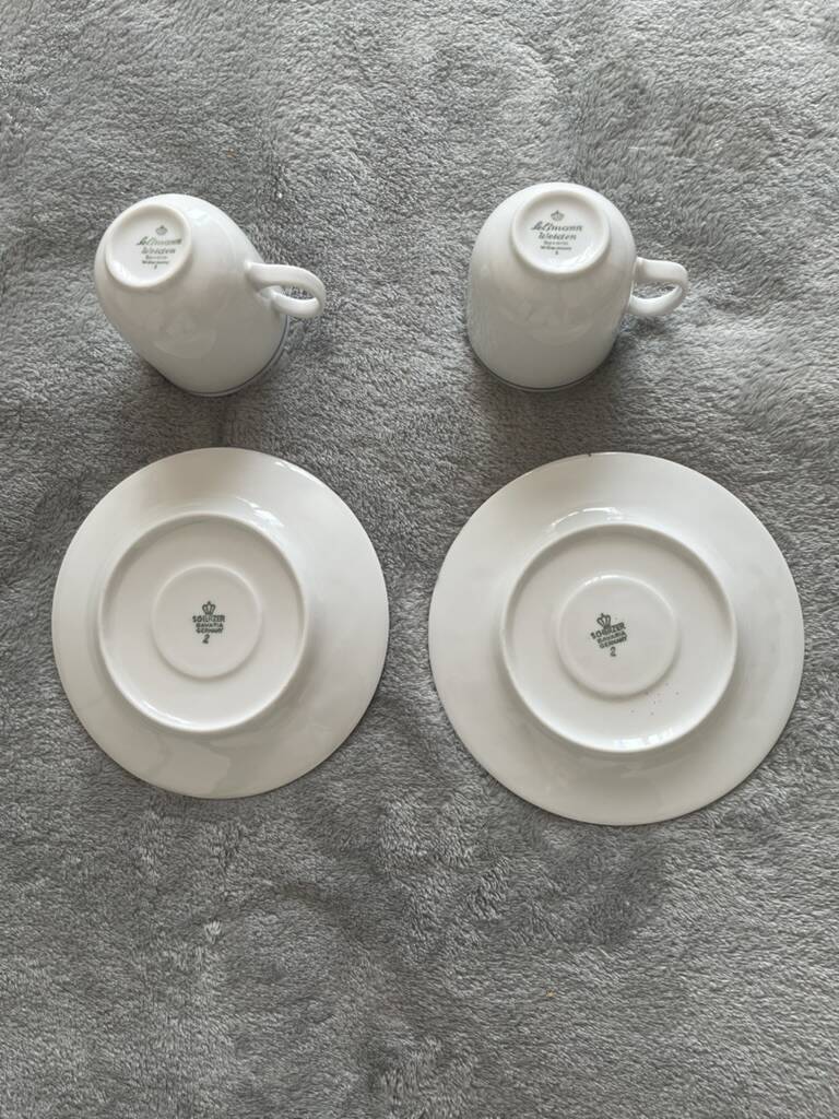 Seltmann Weiden Coffee Cup and Saucer Duo