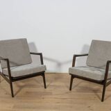 Model 300-139 Armchairs from Swarzędz Factory, Poland, 1960s, Set of 2