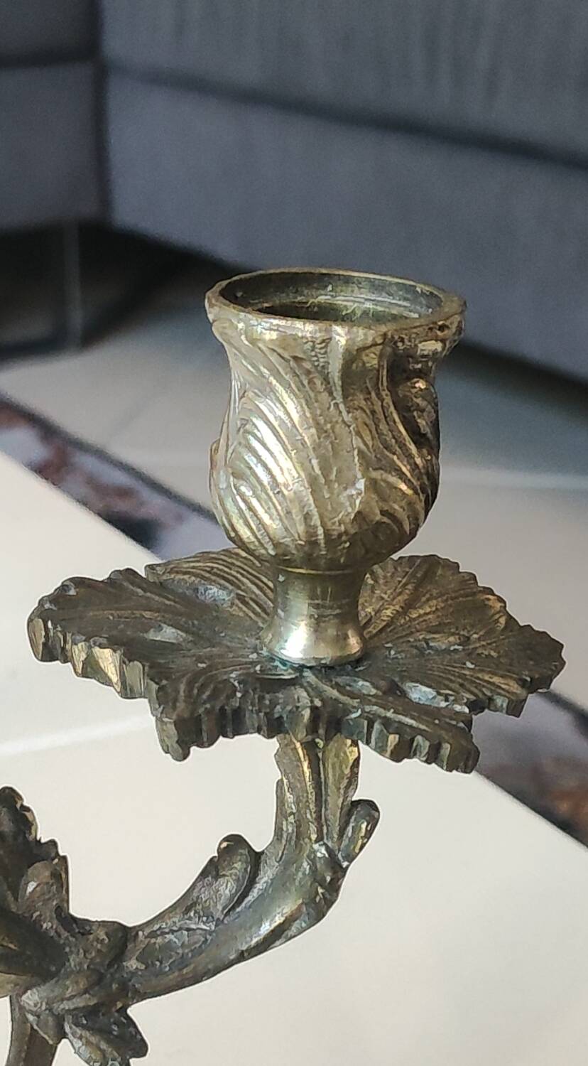 Pair of Candelabra in Louis XV/Rocaille Style, 2 lights. In gilded bronze, 19th century.