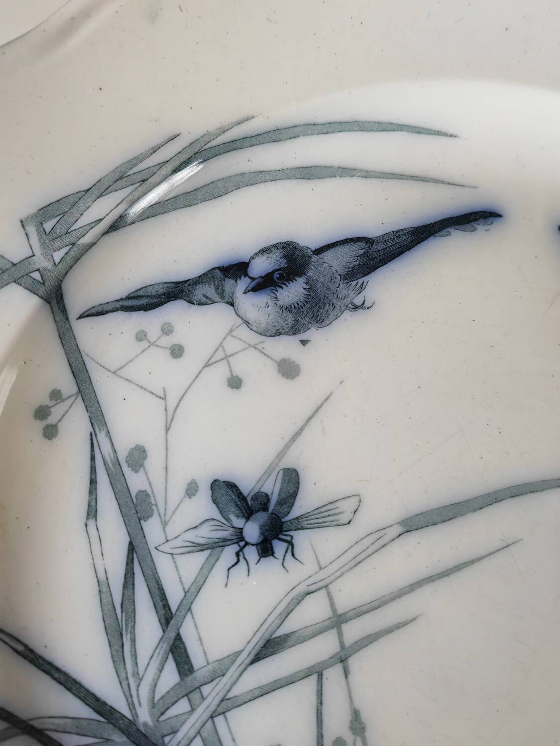 19th century dish bwm&co